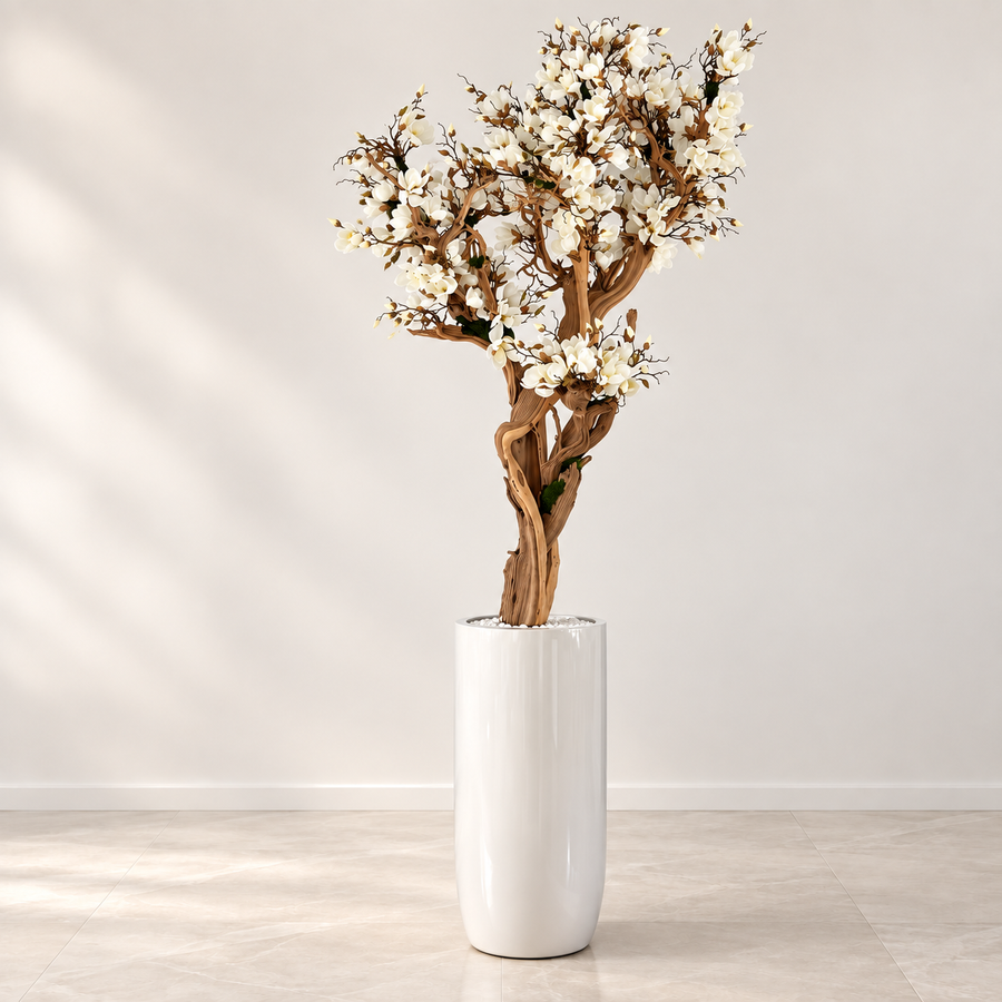 10ft White Magnolia Tree in Glossy Beige St. Tropez Planter
