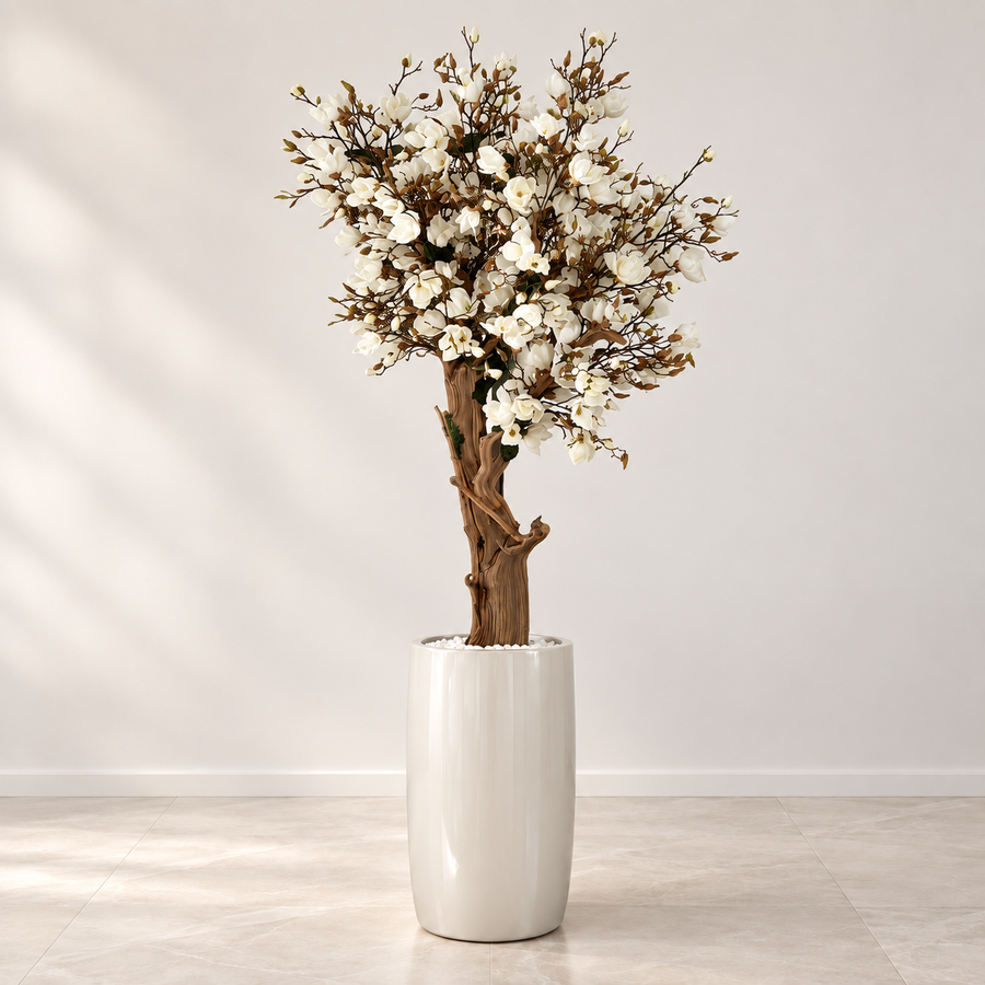 8ft White Magnolia Tree in Glossy Beige St. Tropez Planter