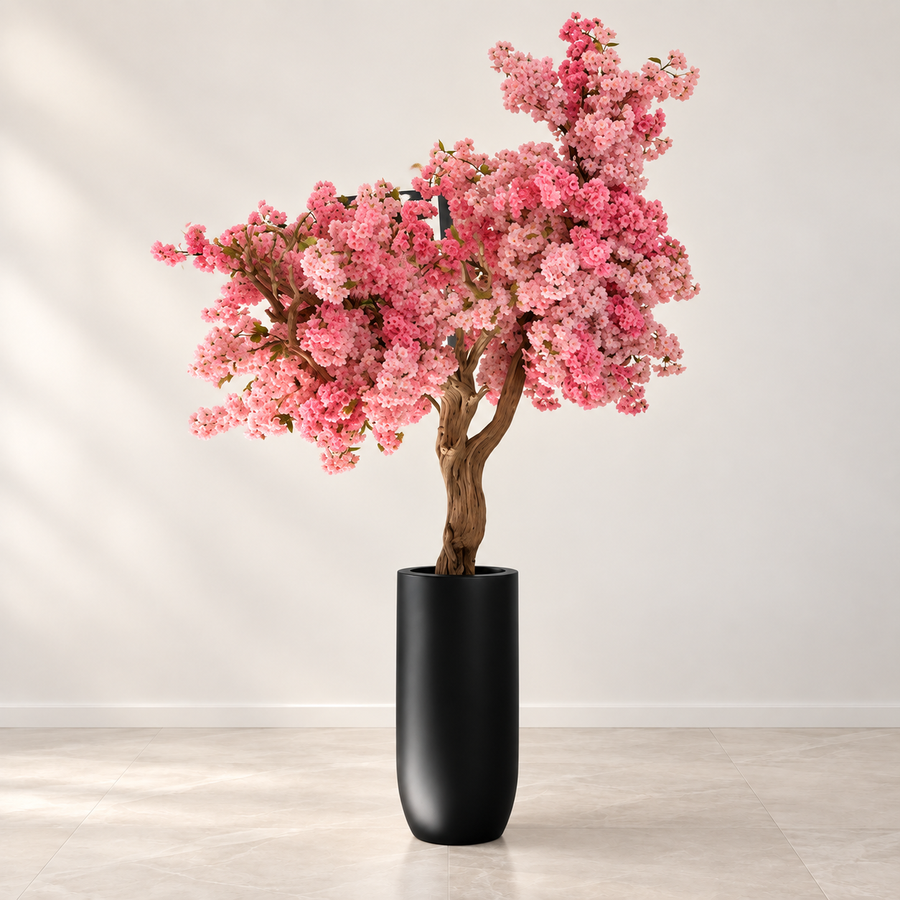Pink Cherry Blossom Tree in Matte Black St. Tropez Planter