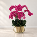 Pink Phalaenopsis Orchids in Helena Boat Planter