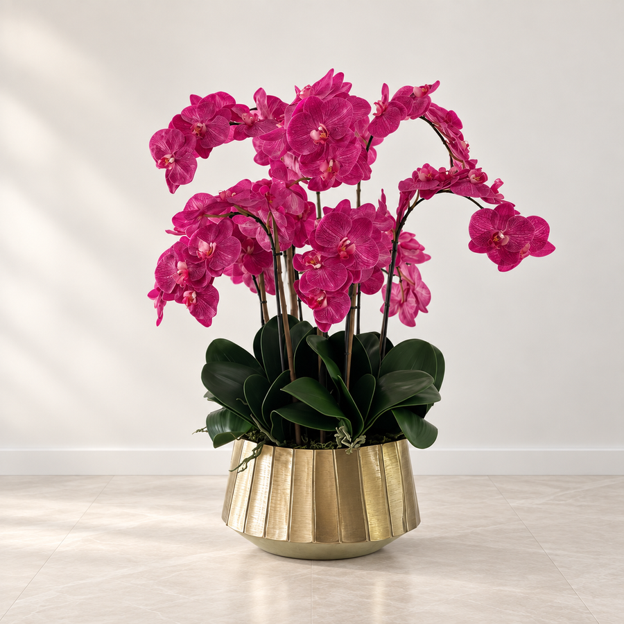 Pink Phalaenopsis Orchids in Helena Boat Planter