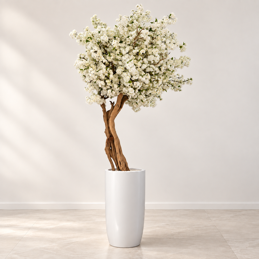 White Cherry Blossom Tree in Matte Beige St. Tropez Planter