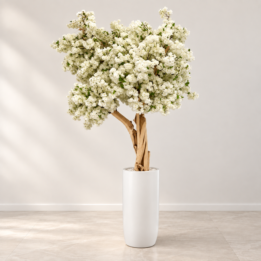 White Cherry Blossom Tree in Matte White St. Tropez Planter