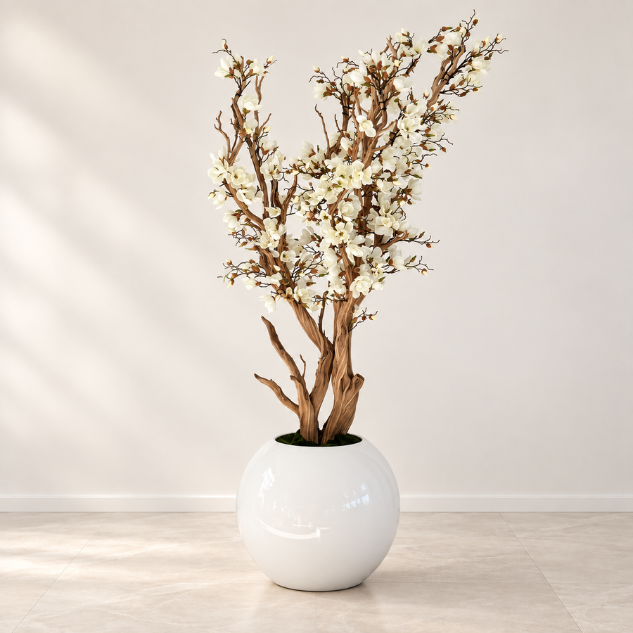 White Magnolia Tree in 30″ Glossy White Globe Planter