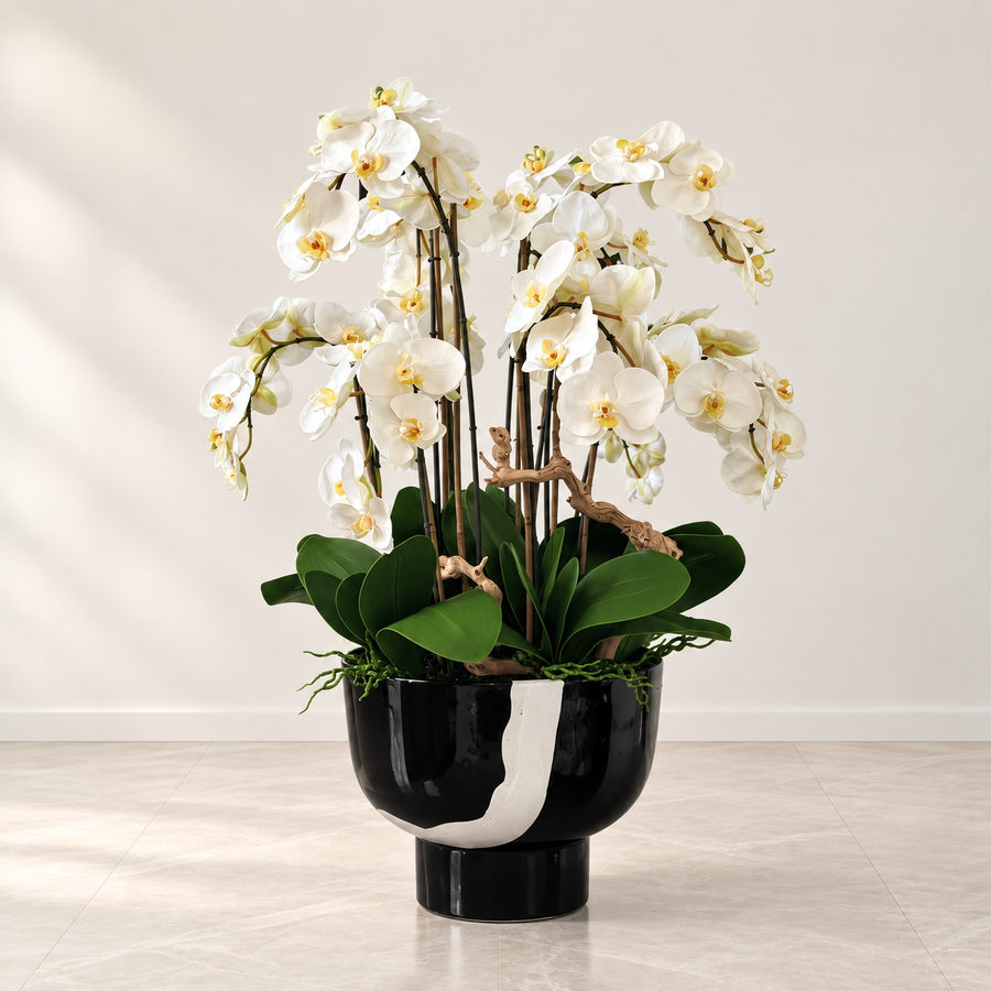 White Orchids in Kempff Bowl