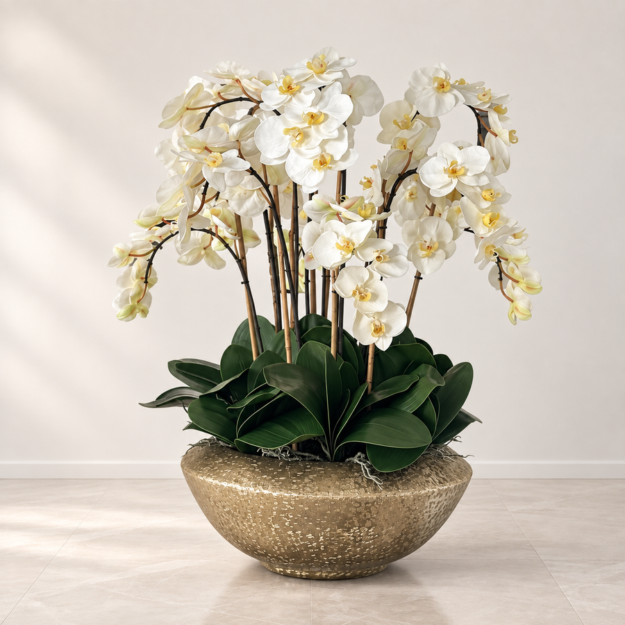 White Phalaenopsis Orchids in Blaze Bowl