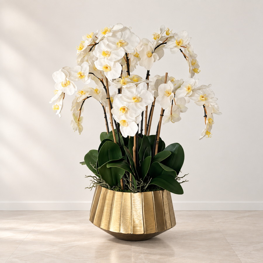 White Phalaenopsis Orchids in Helena Boat Planter