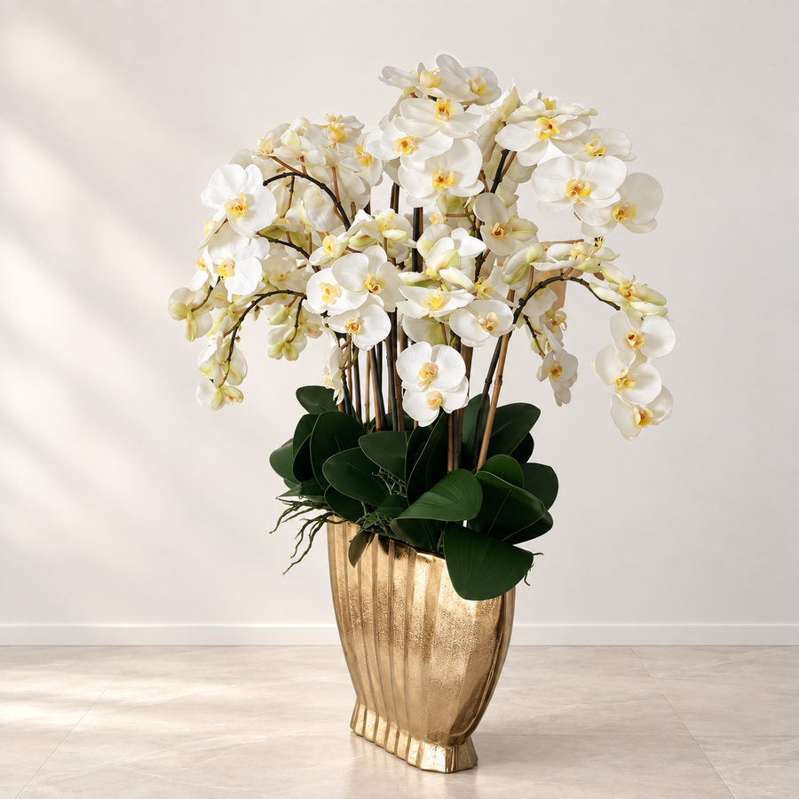 White Phalaenopsis Orchids in Vivien Gold Vase
