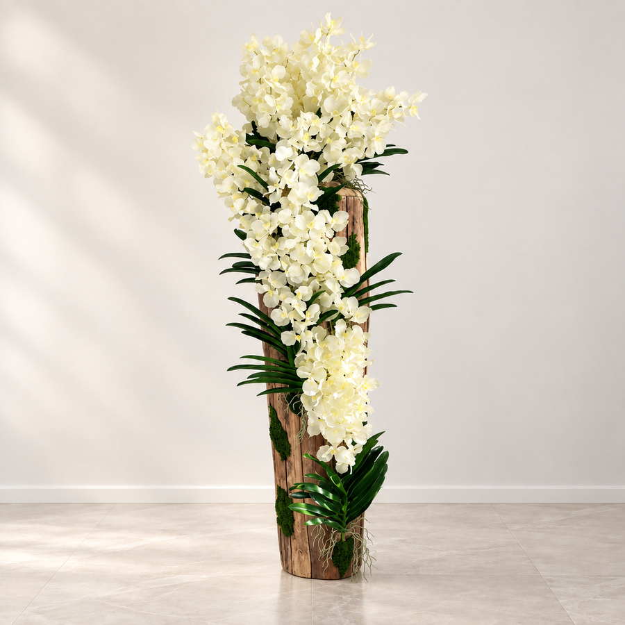 White Vanda Orchids in Large Live Edge Teak Vase